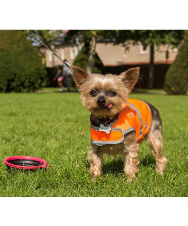 4LegsFriend Reflective Dog Safety Vest - XS | High Visibility for Day and Night Outdoor Activities | Protect Your Dog from Cars & Hunting Accidents | Blaze Orange - Buy Online on SooperMarket.com