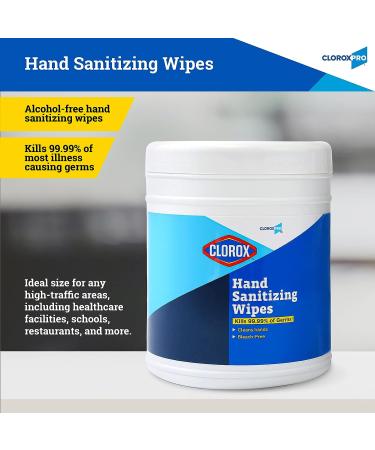 Clorox Pro Hand Wipes 270 Ct | Alcohol-Free BZK Formula | Travel Size Hand Sanitizer Wipes - Buy Online on SooperMarket.com