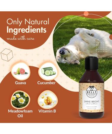 Buy Belly Vegan Dog Shampoo & Conditioner - 250ml | Guava & Cucumber - Long Hair & Odor Control for Dogs & Puppies - Buy Online on SooperMarket.com
