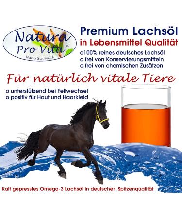 Premium Omega-3 Salmon Oil for Horses | Cold-Pressed Fish Oil for Skin & Immune Support | 3L Glass Bottle (3x1L) - Natural Horse Food - Buy Online on SooperMarket.com