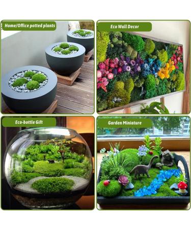 CCINEE 34pcs Artificial Moss Rocks - Perfect for Floral Arrangements, Fairy Gardens, and Crafting - Buy Online on SooperMarket.com