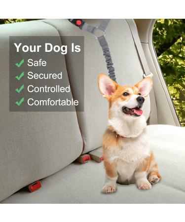 Beaface Headrest Dog Car Seat Belt Pet Car Seat Belt Lead Adjustable Elastic Car Harness Seat Belts for Dogs Cats Pets in Car Strong Nylon Bungee Buffer Dog Car Harnesses (Grey) - Buy Online on SooperMarket.com