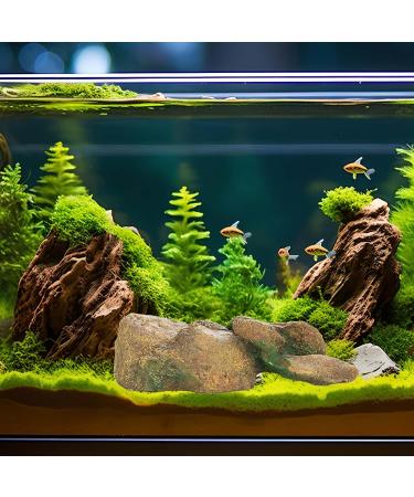 Ctpeng Aquarium Decoration Stone - Natural Look Decorative Rock & Hiding Place (25cm 13cm 7cm Resin) - Ideal Aquarium Accessories - Buy Online on SooperMarket.com