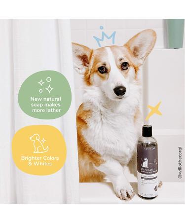 Kin+Kind Charcoal Natural Dog Shampoo - Patchouli Scent, 12 fl oz | Eco-Friendly & Grain-Free - Buy Online on SooperMarket.com