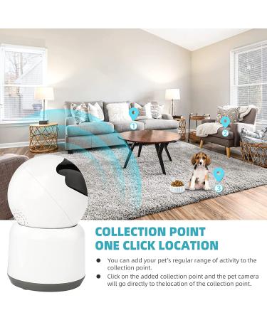 PAPIFEED 1080P Pet Camera Indoor Security Cam | 5Ghz WiFi | Two-Way Audio | Night Vision | Motion Detection | Alexa & Google Assistant Compatible - Buy Online on SooperMarket.com