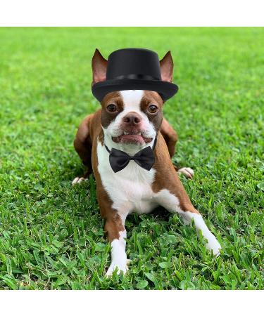 Yewong 2 Pieces Pet Formal Accessories Set - Pet Top Hat with Pet Formal Necktie/Bowtie Birthday Party Gradation Halloween Costumes Accessories for Dog Cat (Black-A) - Buy Online on SooperMarket.com