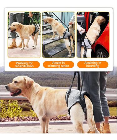 Hamon Portable Dog Harness for Hind Legs | Dog Lifting Aid for Older & Sick Dogs (Large) - Buy Online on SooperMarket.com