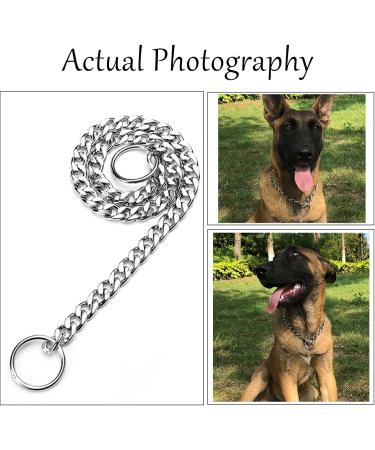 2 Pcs Dog Chain Metal Dog Training Collar Adjustable Durable Silver Dog Chains for Pet Small Medium Puppy M - Buy Online on SooperMarket.com