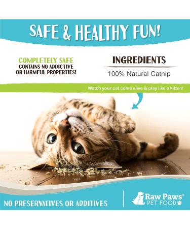 Raw Paws Pet Natural Catnip 1-oz - Premium Loose Catnip Leaf for Cats - Potent Refill for Toys - Cat Catnip Herb Dried - Buy Online on SooperMarket.com