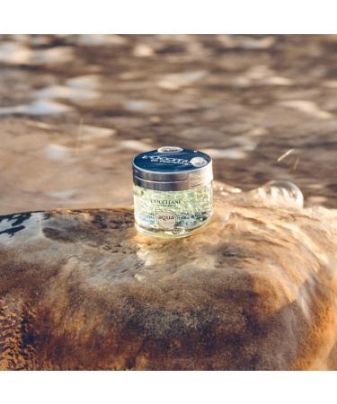 L'OCCITANE Aqua R otier Ultra Thirst-Quenching Gel 50ml | Vegan & 98% Readily Biodegradable | Enriched with Macro Hyaluronic Acid | Clean & Luxury Beauty Skincare for All Skin Types - Buy Online on SooperMarket.com