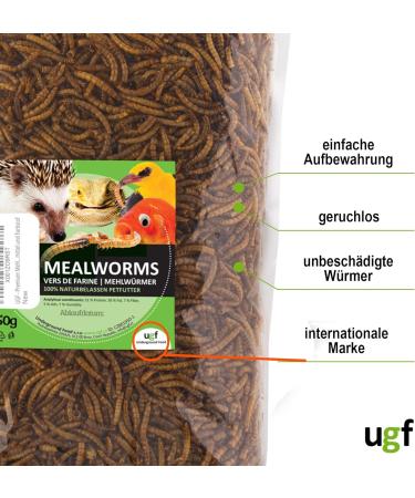UGF Premium Dried Mealworms 250g | Insect Snacks for Birds Hamsters Hedgehogs Rodents Lizards & Turtles - No Preservatives or Dyes - Buy Online on SooperMarket.com