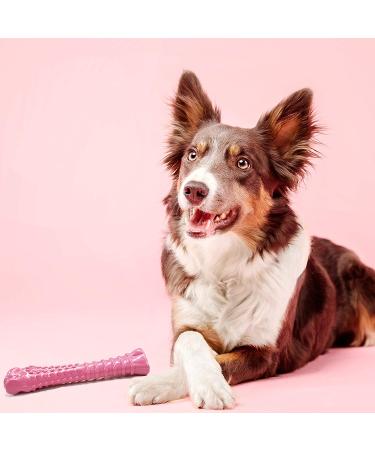 Nylabone Power Chew Breast Cancer Awareness Pink Dog Toy - Chicken Souper Chew - Buy Online on SooperMarket.com