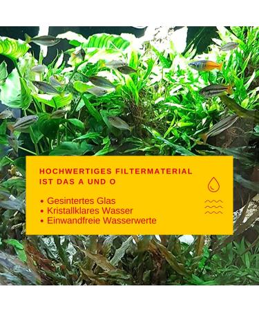 SERA SIBORAX Aquarium Filter Material 1000 ml | Best Biological Filter Medium | 100% Organic | Ideal for Aquarium Filtration - Buy Online on SooperMarket.com