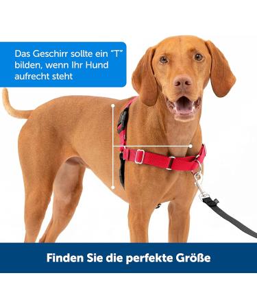 PetSafe Easy Walk Harness - Anti-Pull Dog Harness Red Size L with 1.8M Leash | Reduce Choking & Coughing | International Shipping Available - Buy Online on SooperMarket.com