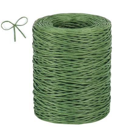 Tenn Well Floral Wire  656 Feet 2mm Paper Covered Binding Wire  Rustic Vine Wire for Floral Arrangements  Flower Crowns  Grapevine Wreath Making  Wedding Decorating  DIY Projects (Green)