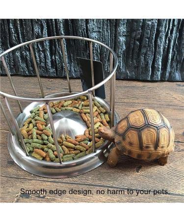 Stainless Steel Tortoise Feeder Food and Water Dish Feeding Bowl Turtle Food Dispenser(Big) - Buy Online on SooperMarket.com