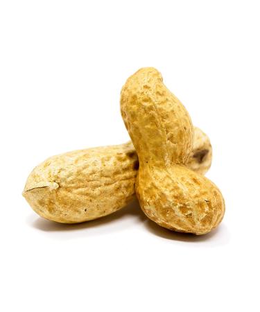 Premium USA Grown Raw Peanuts in Shell for Squirrels - 2.5lb | Unsalted & Jumbo | Boiled Virginia Peanuts | Pack of 1 - Buy Online on SooperMarket.com