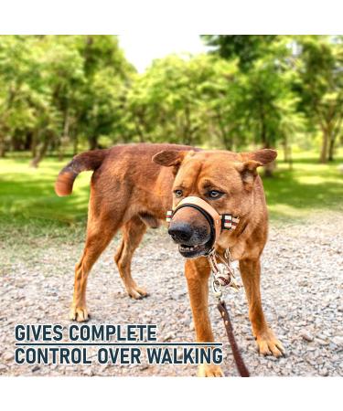 Alpha Boy Dog Training Collar | Comfortable Real Leather Harness for All Breeds | Easy-to-Use with Quick Lock Buckle (XXL) - Buy Online on SooperMarket.com