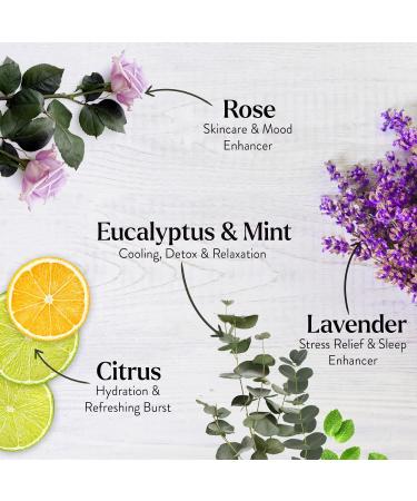 Miracle Made Aromatherapy Shower Steamers - Variety Pack of 6 Natural Essential Oil Shower Bombs for Relaxation and Pampering - Home Spa Gifts for Men, Women, Moms - Buy Online on SooperMarket.com