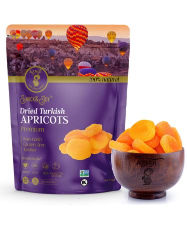AZNUT Turkish Dried Apricots, No Sugar Added, 100% Natural Premium Quality, NON-GMO Project Certified, Kosher, Gluten-Free, Resealable Bag 1 LB 1 Pound (Pack of 1)