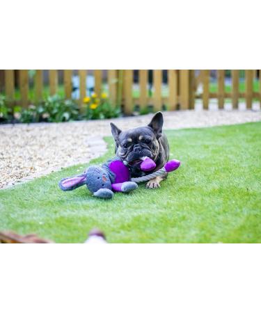 Rosewood Ruby Rabbit Dog Toy multi-colour 1 Count (Pack of 1) - Buy Online on SooperMarket.com