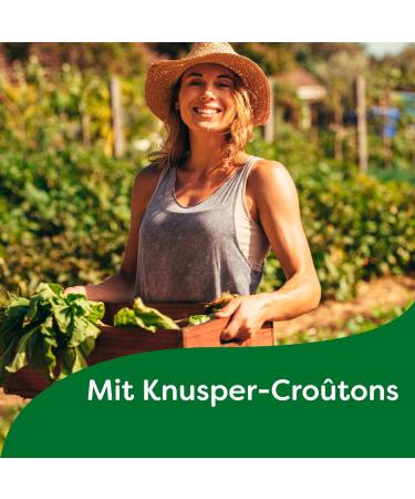 Buy KNORR Cup A Soup Potato Cream Soup - 48g (12 Pack) | No Additives or Dyes | Fast & Delicious International Shipping - Buy Online on SooperMarket.com