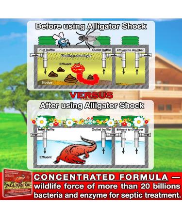 Septic Treatment  Tank Cleaner  Safe Enzyme and Bacteria for Best Septic Tank Treatment  Flush Toilet Closet with bio Active Organic Powder Monthly for Aerobic Odor and Sludge drainfield Control - Buy Online on SooperMarket.com