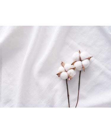 Buy 100% Organic Cotton Swabs Biodegradable Packaging 800 Pieces (4 Packs of 200) Eco-Friendly & Sustainable - Buy Online on SooperMarket.com