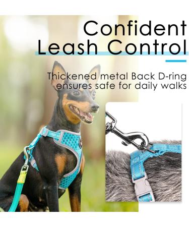 Thinkpet No-Pull Dog Harness Leash Set - Breathable Padded Reflective Safety Harness for Small Medium Large Dogs - Adjustable Running Harness (1 Pack) - Blue - Buy Online on SooperMarket.com