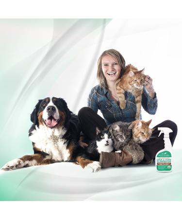 Jackie Doodles Urine Remover 24 OZ Bottle - Safely Eliminates Cat, Dog, and Human Odors - Ready to Use with Concentrate - Buy Online on SooperMarket.com
