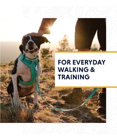 Ruffwear Front Range Dog Harness XXS - Reflective Adjustable & Comfortable for Daily Walks - No Pulling Aurora Teal - Buy Online on SooperMarket.com
