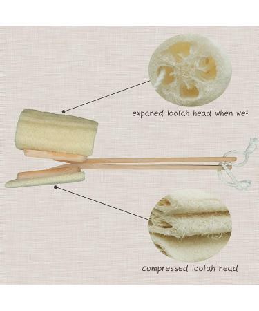 Pack of 2 Natural Exfoliating Loofah Back Scrubber Brushes with Long Wooden Handle for Body Shower and Bath Spa - Buy Online on SooperMarket.com