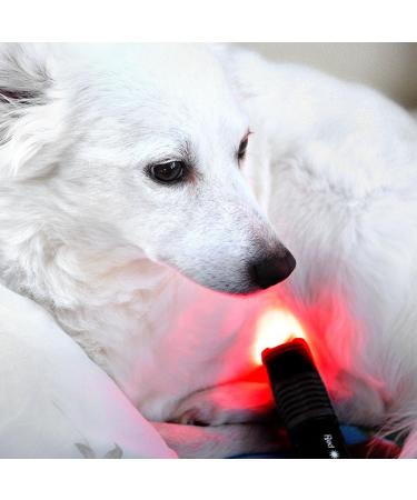 playhair Red Led Light Therapy Device -Cat Dog Horse. Pain Relief Hip Joint Mobility.and Inflammation Relief Advanced Pain Relief - Buy Online on SooperMarket.com