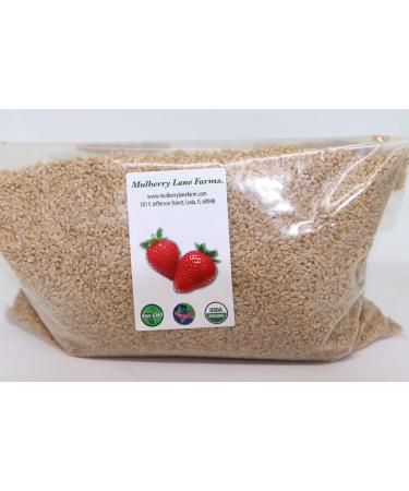 Hard White Wheat Berries 5 Pounds Kernels Montana Golden 86 USDA Certified Organic Non-GMO, Bulk, Product of USA