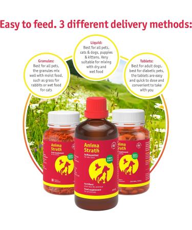 Anima-Strath Natural Food Supplement for Dogs & Cats | Immune System & Digestive Care with 61 Vital Nutrients Vitamins Minerals Amino Acids & Prebiotic Qualities | BARF Diet Food Topper (250 ml) Herbal 250 ml (Pack of 1) - Buy Online on SooperMarket.com