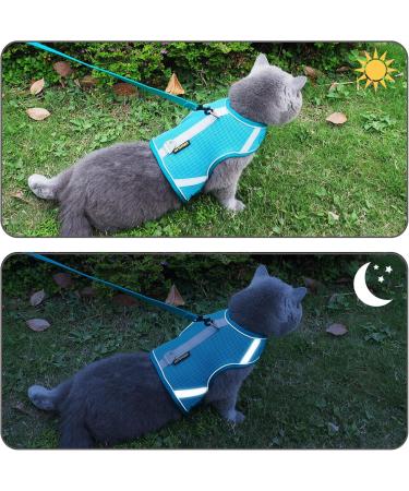 Premium Cat Dishes with Leash | Reflective Cat Patrol Gear for Safe Adventures - Buy Online on SooperMarket.com