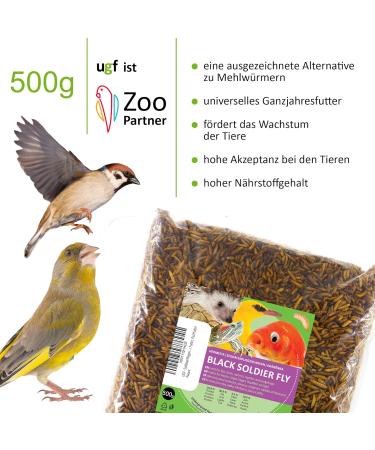 UGF Soldier Fly Larvae (500g) - Superior to Dried Mealworms - 85x Calcium - Ideal Treats for Birds Turtles Rodents & More - Buy Online on SooperMarket.com