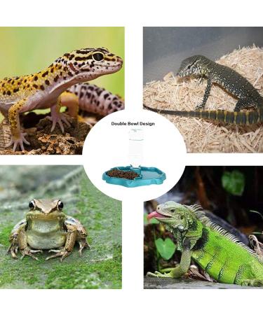 QIODAZOO Bowls for Reptiles Amphibians Tortoise Accessories 2 IN 1 Reptile Feeding Dish Automatic Dispenser Tortoise Water Dish Lake Blue - Buy Online on SooperMarket.com