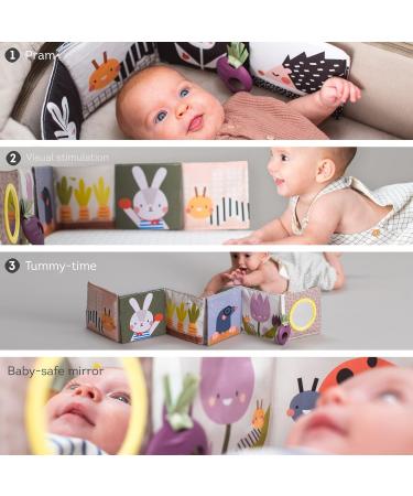 Buy Taf Toys 13065 - Hide and Seek Game Book Garden | International Shipping | Fun Learning for Kids - Buy Online on SooperMarket.com