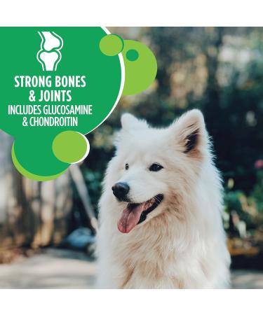 IAMS Proactive Health Dog Food and Dry Cat Food Bundle Dog Food + Cat Food 3.5 lb. 6.80 kg (Pack of 1) - Buy Online on SooperMarket.com
