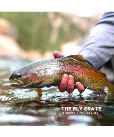 Woolly Bugger Trout Fly Fishing Streamer Assortment 15 Pack Size #8 - Premium Fly Fishing Lures - Buy Online on SooperMarket.com