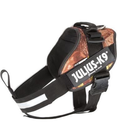 Julius-K9 I-Gurt Safety Belt for Dogs (7-23 kg) - Black Mini Schutzhund | International Shipping - Buy Online on SooperMarket.com