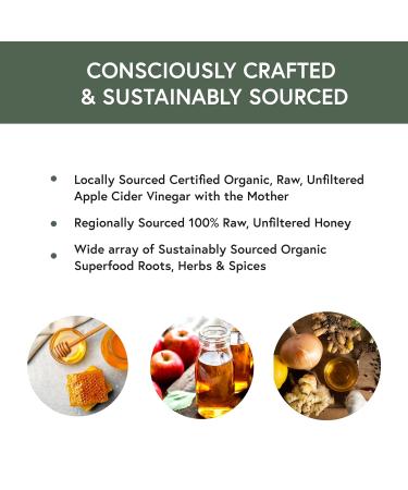 Hany's Harvest Unsweetened Fire Cider - Original Unsweetened - 16 Oz. - Buy Online on SooperMarket.com