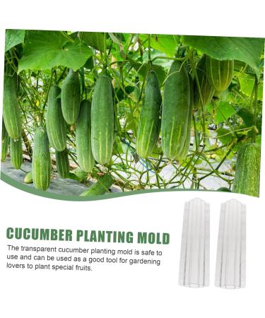 Happyyami 10 Pcs Vegetable Shaping Cucumbers Cucumber Styling Fruits Shaping Modeling Suite - Buy Online on SooperMarket.com