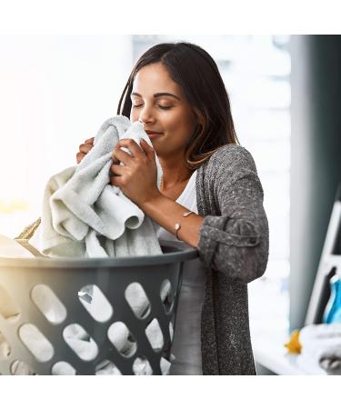 Dr. Beckmann Laundry Air Spring - Fresh Long-Lasting Fragrance for All Textiles | 250 ml | No Fabric Softener Needed - Buy Online on SooperMarket.com