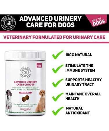 Dog Urinary Health Supplements 60 Soft Chews | Antibiotic Remedy | Stimulates Immune System & Maintains Overall Health | Cranberry & Echinacea | Wheat Free | Veterinarian Formulated Dog Urinary Care - Buy Online on SooperMarket.com