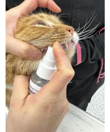 VETRADENT Oral Spray for Dogs & Cats with Biotrate Technology Fight Plaque & Tartar Freshen Breath Maintain & Promote Good Dental and Oral Hygiene 60ml Made in USA - Buy Online on SooperMarket.com