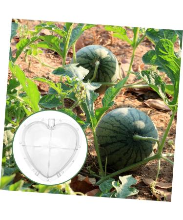 SUPVOX Fruit Forming Mold Heart Shaped Watermelon Molds Fruit Watermelon Forming Mold Vegetable Mould Modeling Forming Machine - Buy Online on SooperMarket.com