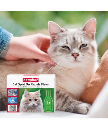 Beaphar Cat Spot On Four Week Protection Flea Repel Solution - Buy Online on SooperMarket.com
