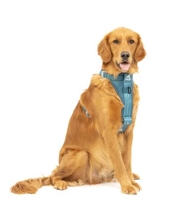 Kurgo Enhanced Strength Tru-Fit Smart Harness for Dogs Ink Blue Large Ink LG